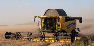 40 Prozent der ukrainischen Getreideexporteure zahlen keine Steuern 40 Prozent der ukrainischen Getreideexporteure zahlen keine Steuern