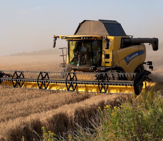 40 Prozent der ukrainischen Getreideexporteure zahlen keine Steuern 40 Prozent der ukrainischen Getreideexporteure zahlen keine Steuern