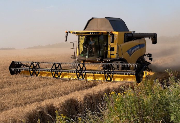 40 Prozent der ukrainischen Getreideexporteure zahlen keine Steuern